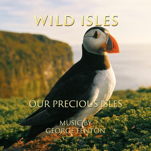 Orca cover art
