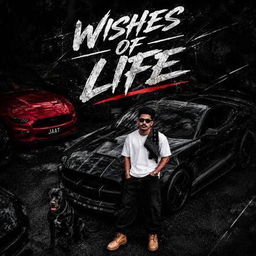 Wishes of life