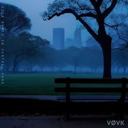 cold bench in central park