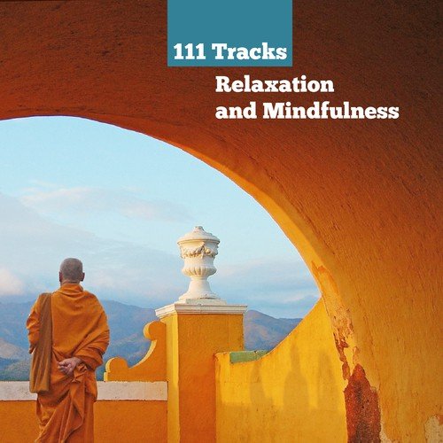 111 Tracks Relaxation and Mindfulness: Meditation Spiritual Healing Sounds of Nature, New Age Yoga Music, Find Your Inner Peace & Stress Relief_poster_image