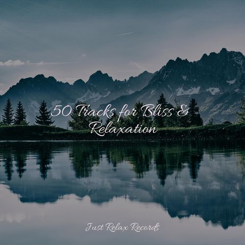 50 Tracks for Bliss & Relaxation