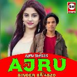 Ajru Singer SR 4820