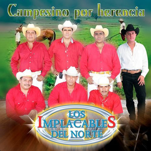 Raza Pesada cover art