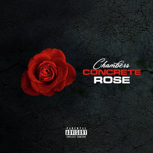 Concrete Rose