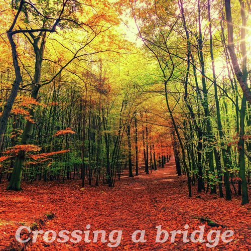 Crossing a Bridge