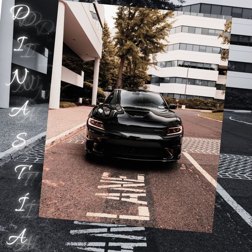 DINASTIA cover art