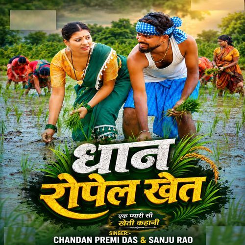 Dhan Ropel Khet