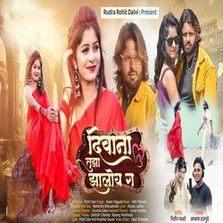 Diwana tuza mi zaylo