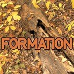 Formation - Tribute to Beyonce