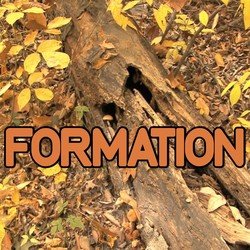 Formation - Tribute to Beyonce