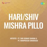 Hari Shiv Mishra Pillo