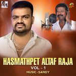 Hasmathpet Altaf Raja Vol - 1