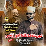 Mere Madni Da Jor Nai 