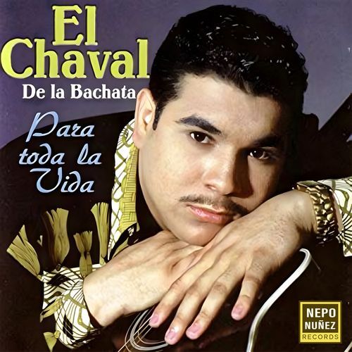 La Tuve Que Botar cover art