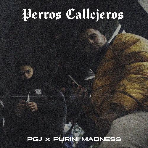 Perros Callejeros