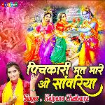 Pichkari Mat Mare O Sawariya