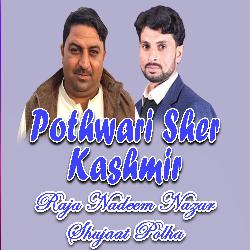 Pothwari Sher Kashmir-B1oZATNzAGs