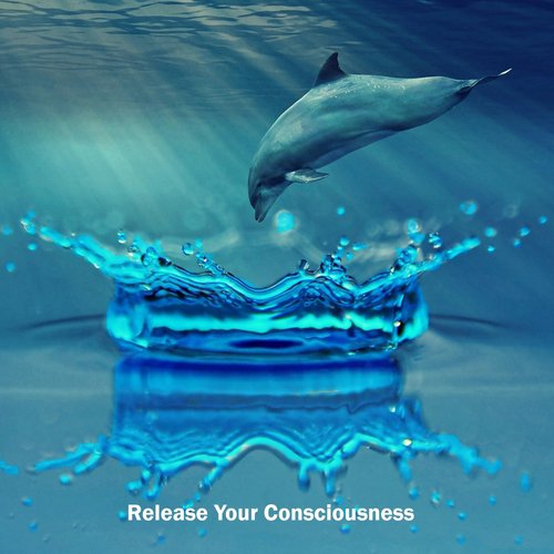 Release Your Consciousness