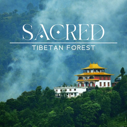 Sacred Tibetan Forest: Peaceful Tunes of Water, Birds, Flute, Wind Chimes, Bells