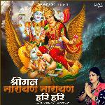 Shreeman Narayan Narayan Hari Hari artwork