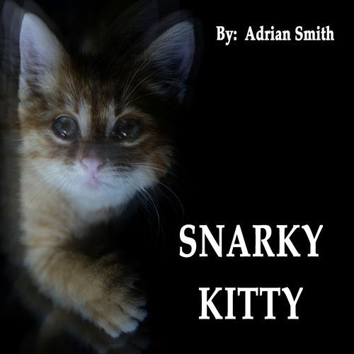 Snarky Kitty