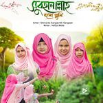 Subhan Allah Bolo Tumi