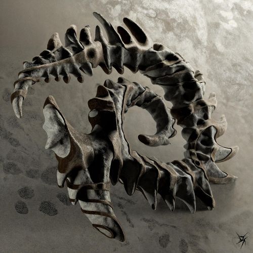 TERRA MALEDICTA