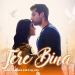 Tere Bina
