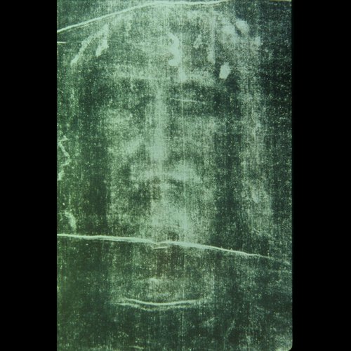 Prophecies In the Forrest cover art