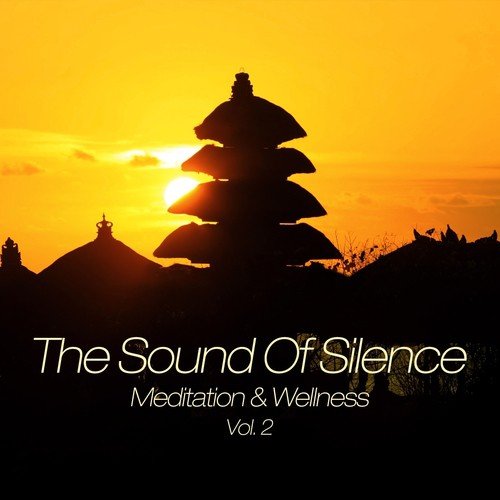 The Sound Of Silence (Meditation & Wellness), Vol. 2