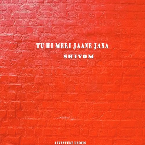 Tu Hi Meri Jaane Jana (Malav Remix)