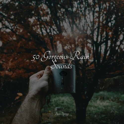 Rain, Storm and Thunder cover art