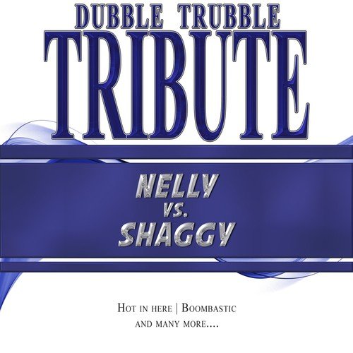 A Tribute To - Nelly vs. Shaggy