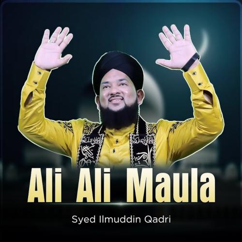 Ali Ali Maula