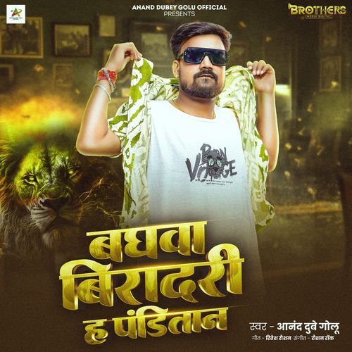 Baghwa Biradari Ha Panditan cover art
