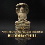 Buddha Chill: 50 Ambient Music for Yoga and Meditation, Relaxing New Age, Tibetan Bowls With Healing Sound of Nature