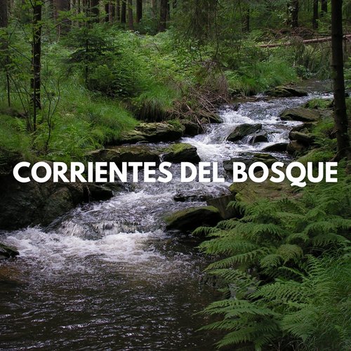 Zona Silvestre cover art