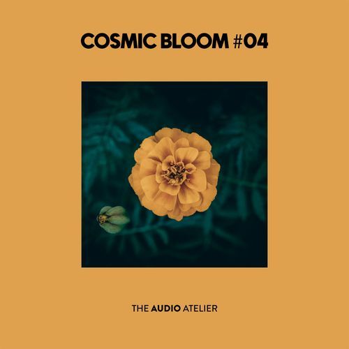 Cosmic Bloom #04