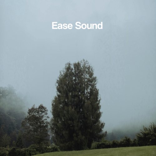 Ease Sounds_poster_image