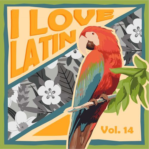 I Love Latin, Vol. 14