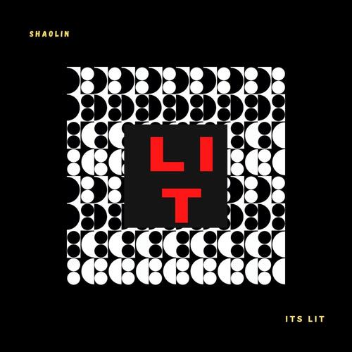 Its Lit (Radio Mix) cover art
