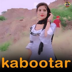 Kabootar-PF8sVgBdbl8