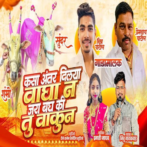 Kasa Antar Dilaya Waghan Jara Bagh Ki Tu Vakun