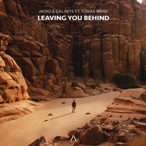 Leaving You Behind_poster_image