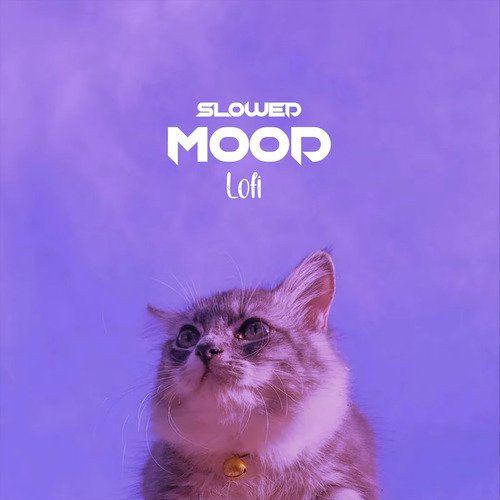 Mood (Slowed / Lofi)_poster_image