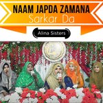 Naam Japda Zamana Sarkar Da artwork