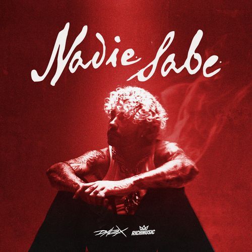 Nadie Sabe cover art