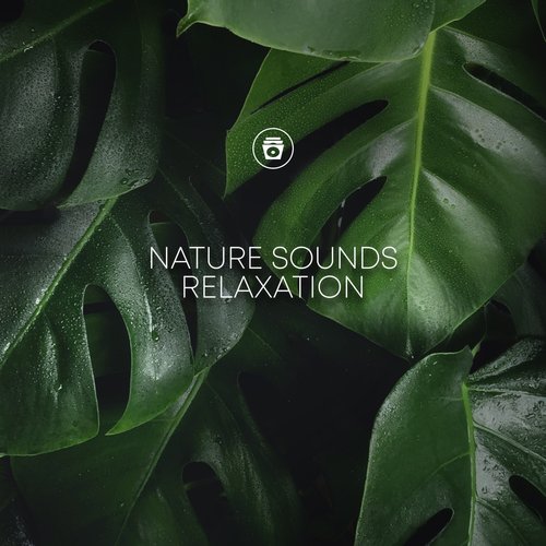 Rain Recorders cover art