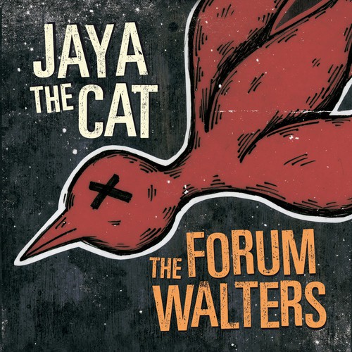 Jaya the Cat