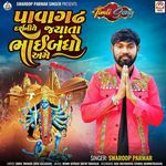 Pavaghadh Darshaniye Jyata Bhaibandho Ame